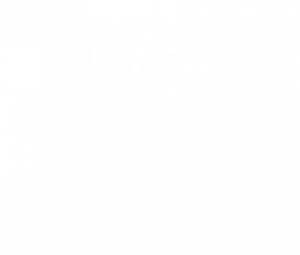 Dinami-psuxis-logo-light